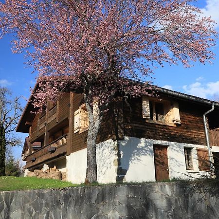 Villa Sous Les Ecotagnes Les Villards-sur-Thônes Esterno foto