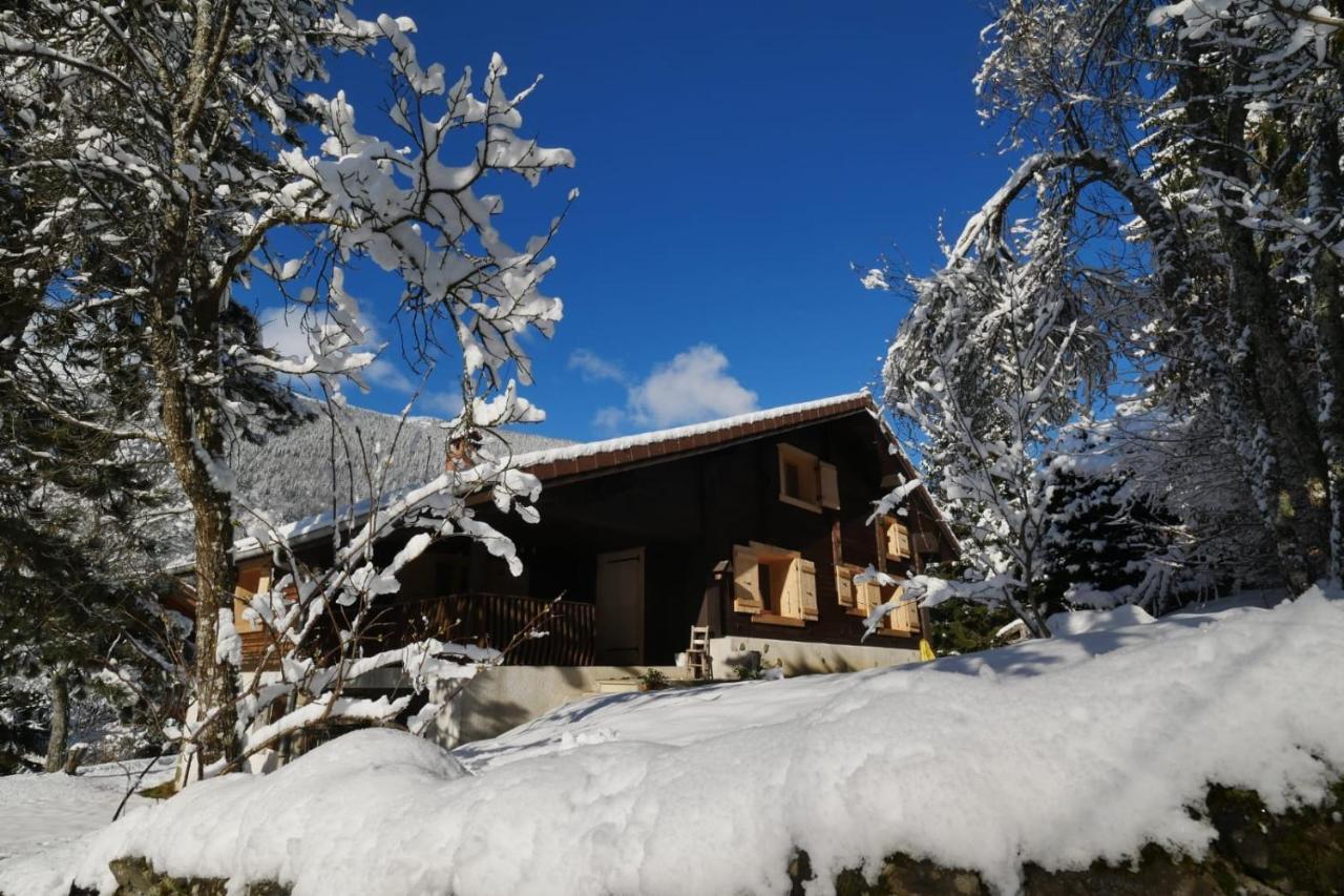Villa Sous Les Ecotagnes Les Villards-sur-Thônes Esterno foto